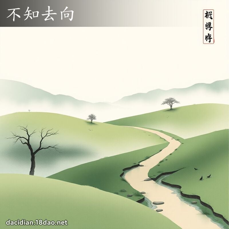 不知去向 配图