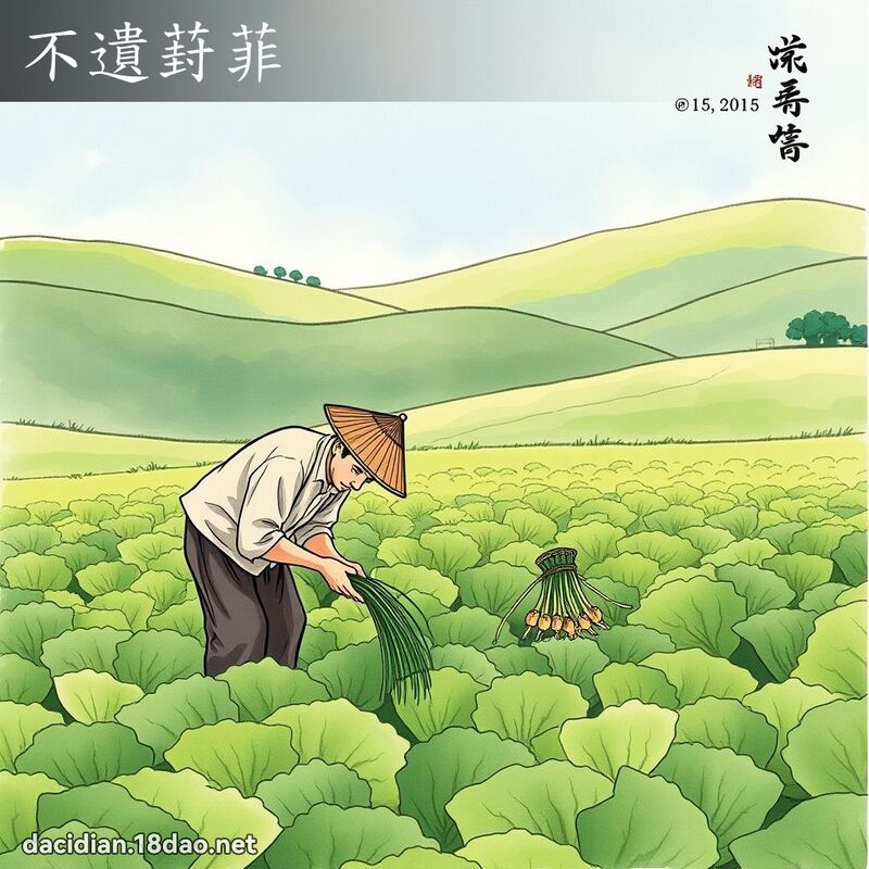 不遗葑菲 配图