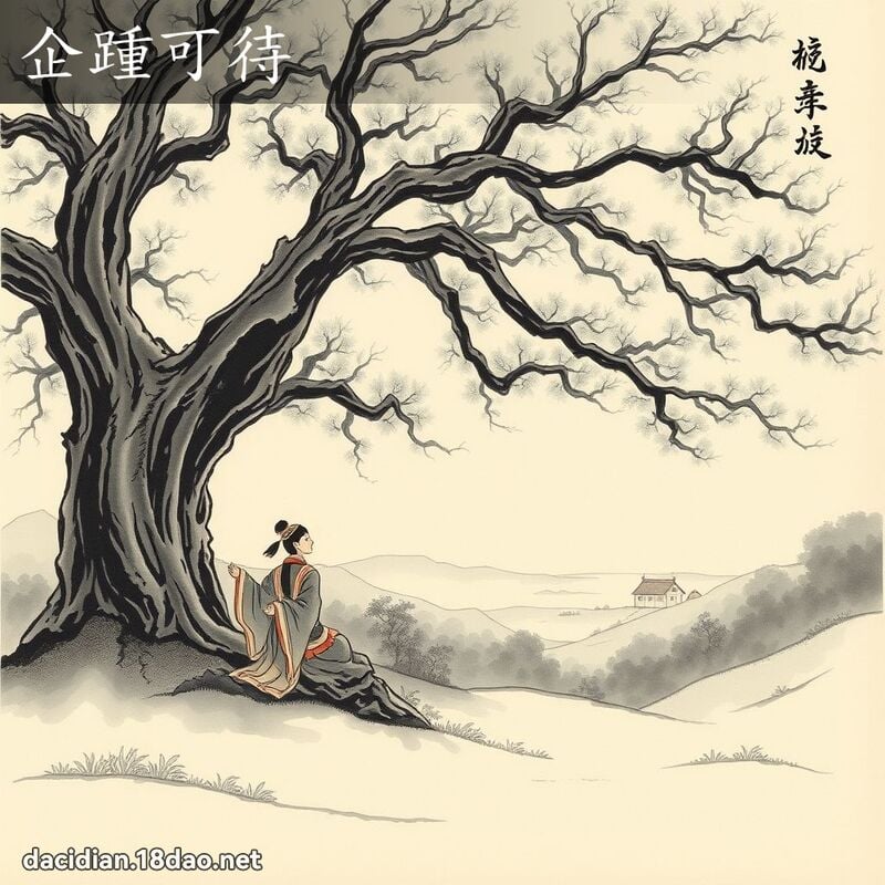 企踵可待 配图