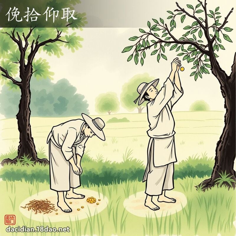 俛拾仰取 配图