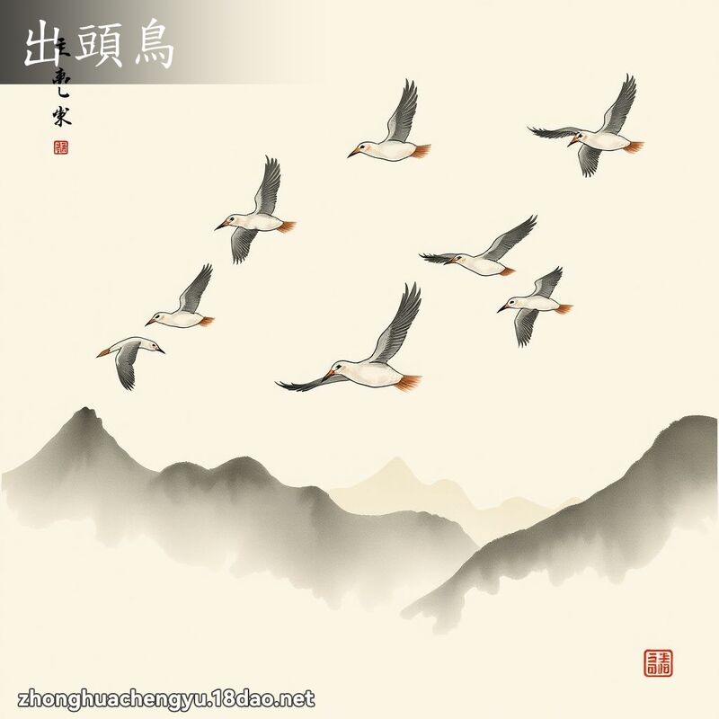 出頭鳥 配图