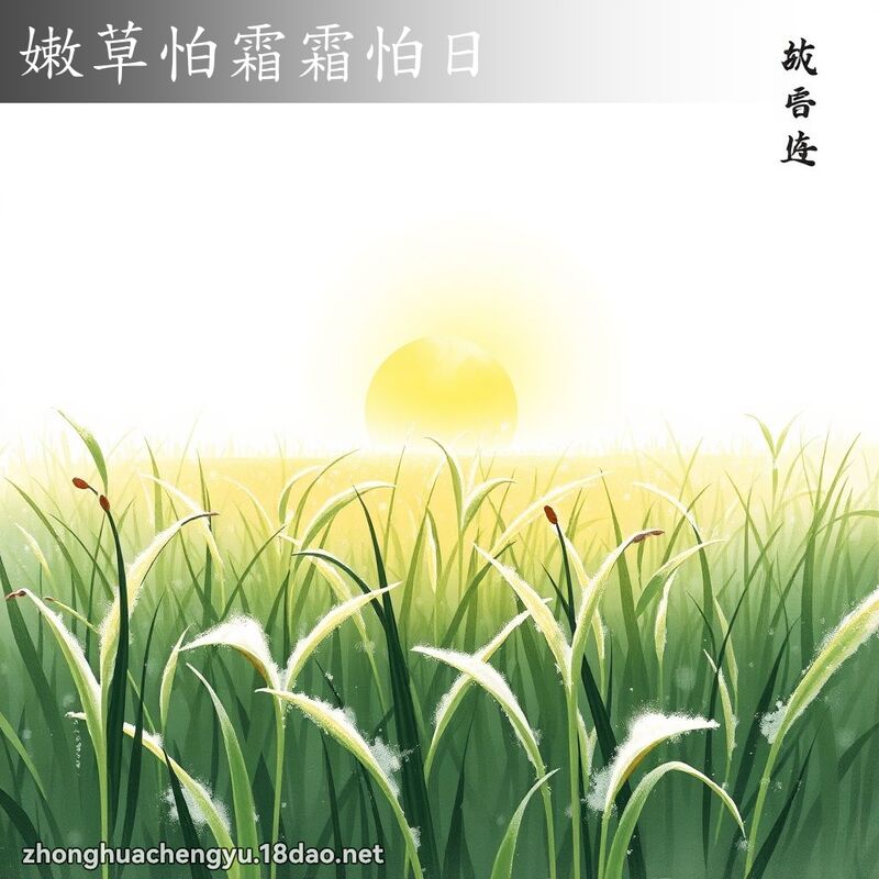 嫩草怕霜霜怕日 配图