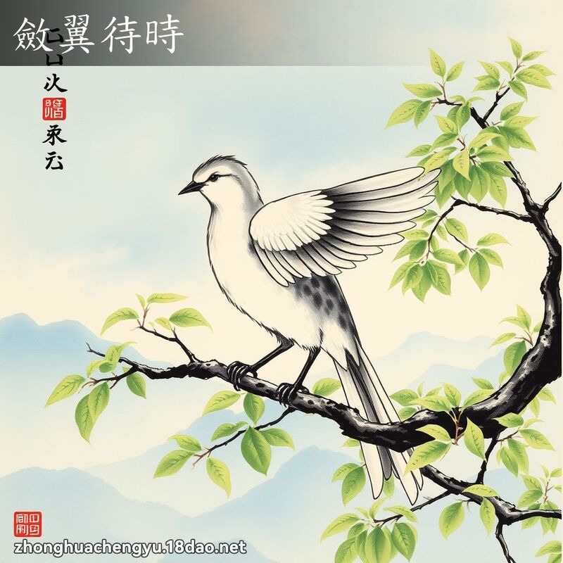 敛翼待时 配图