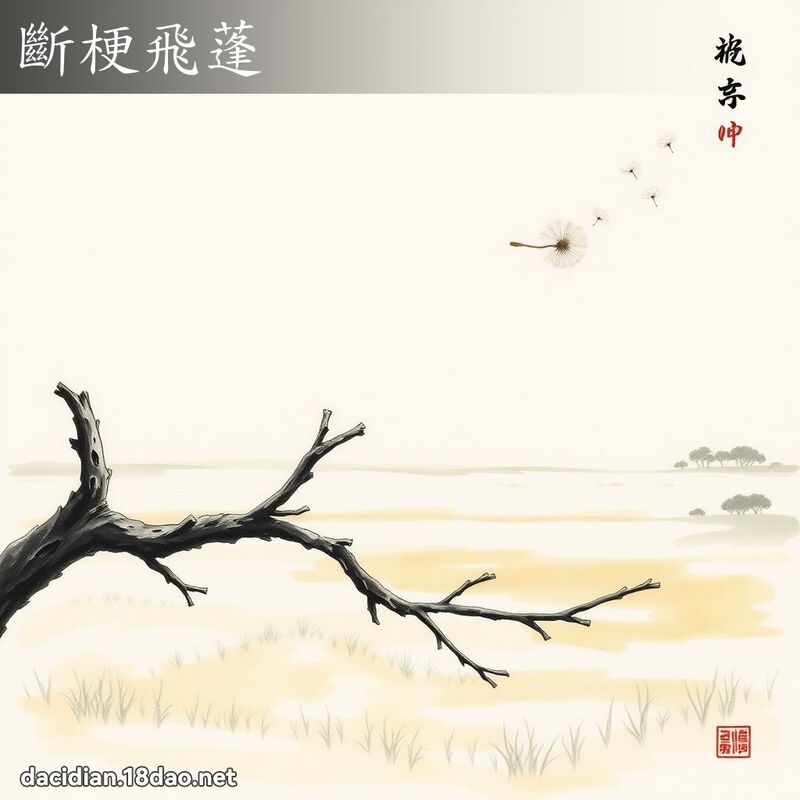 斷梗飛蓬 配图