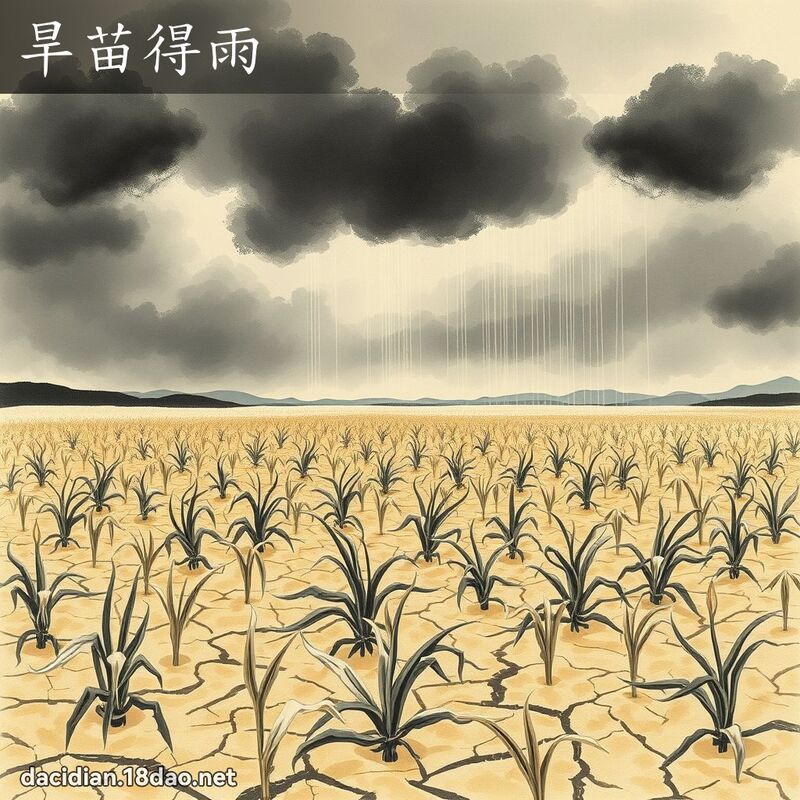 旱苗得雨 配图