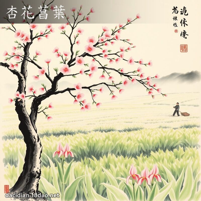 杏花菖叶 配图