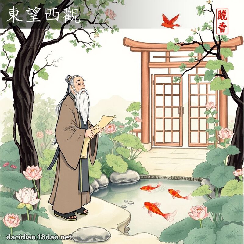 东望西观 配图