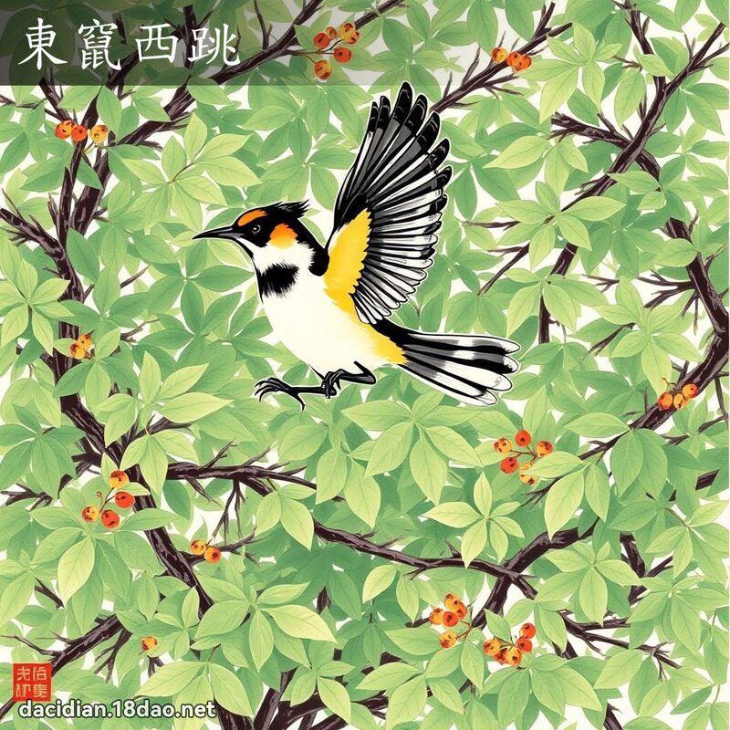 东窜西跳 配图