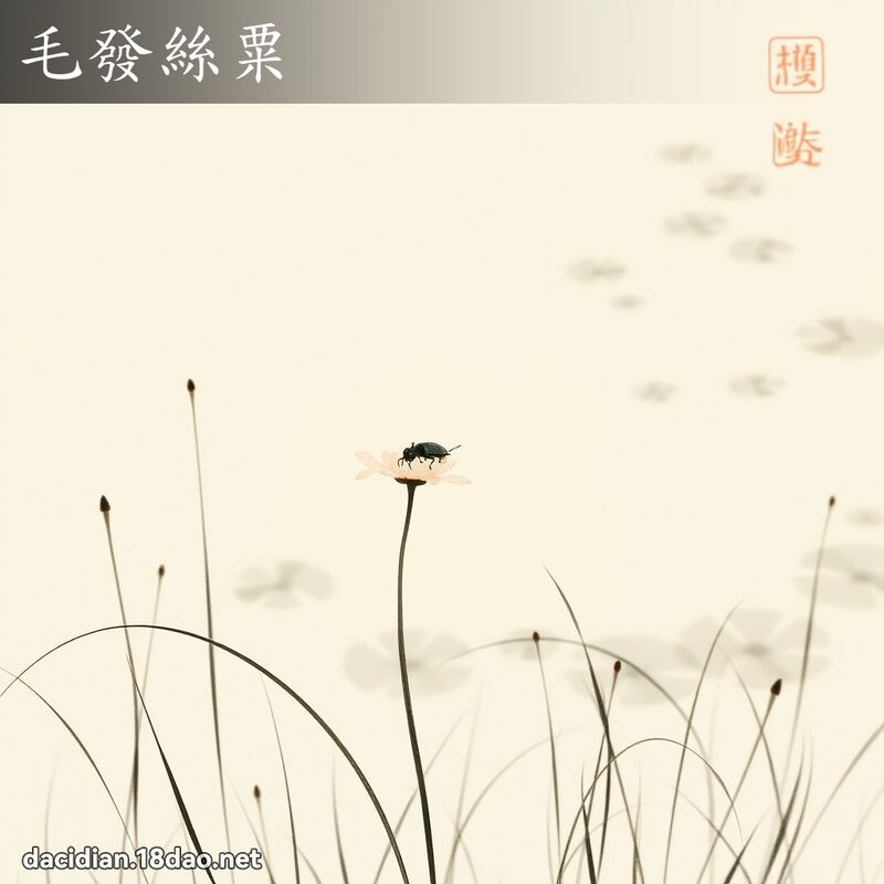 毛发丝粟 配图