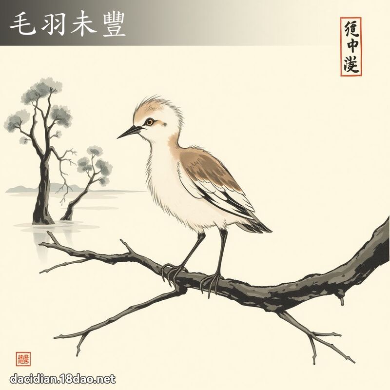 毛羽未丰 配图