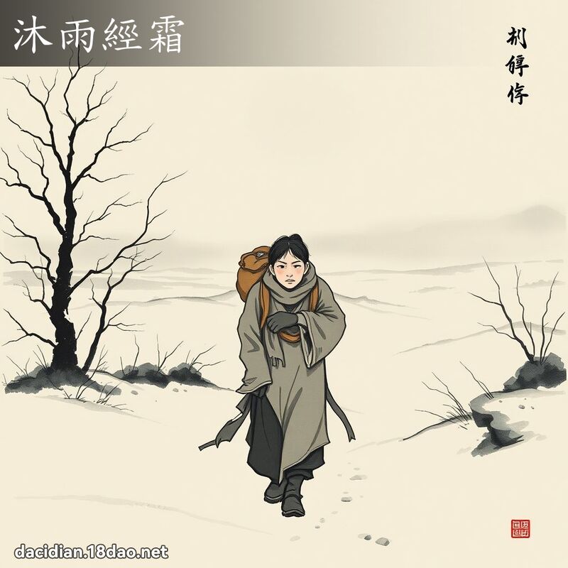 沐雨經霜 配图