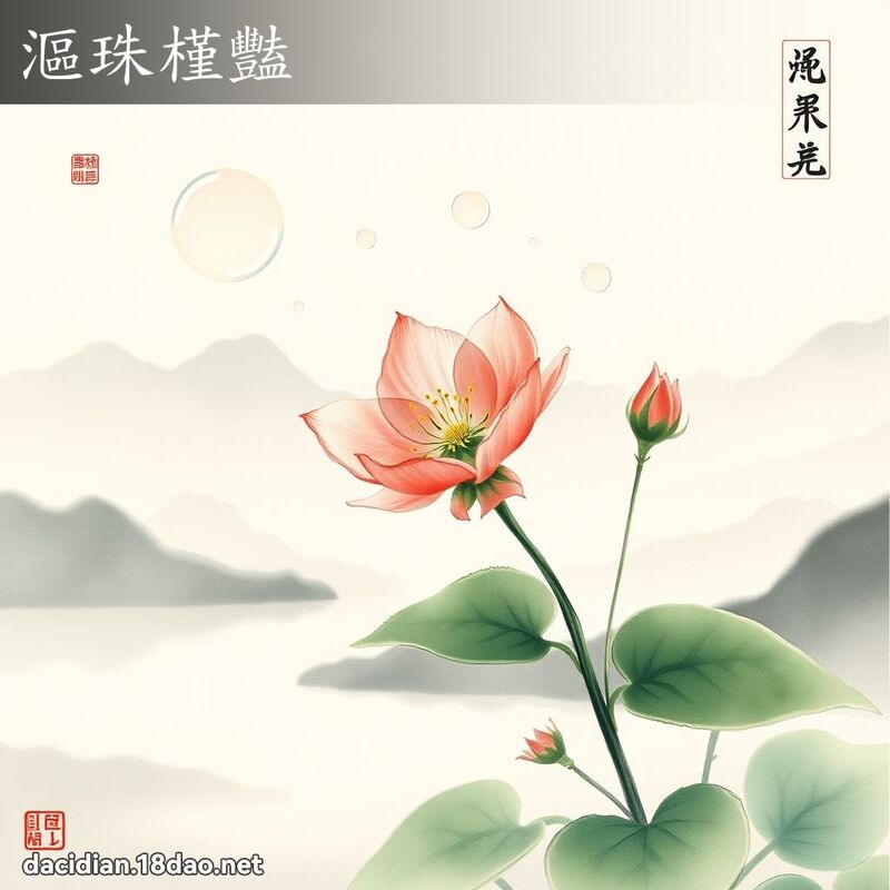 沤珠槿艳 配图