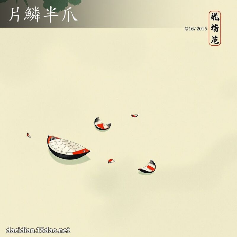 片鳞半爪 配图