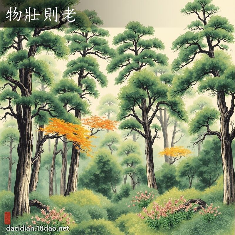 物壮则老 配图