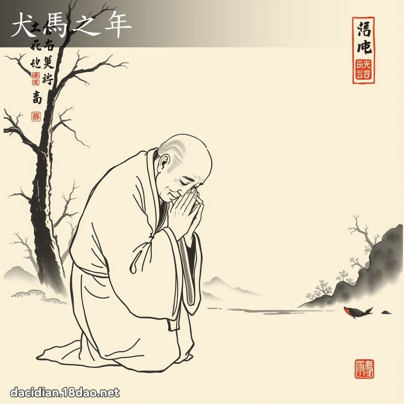 犬马之年 配图