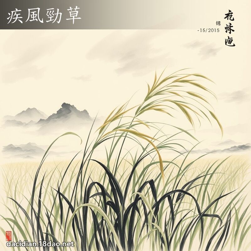 疾風勁草 配图
