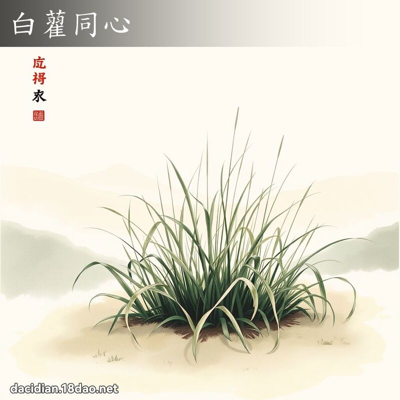 白藋同心 配图