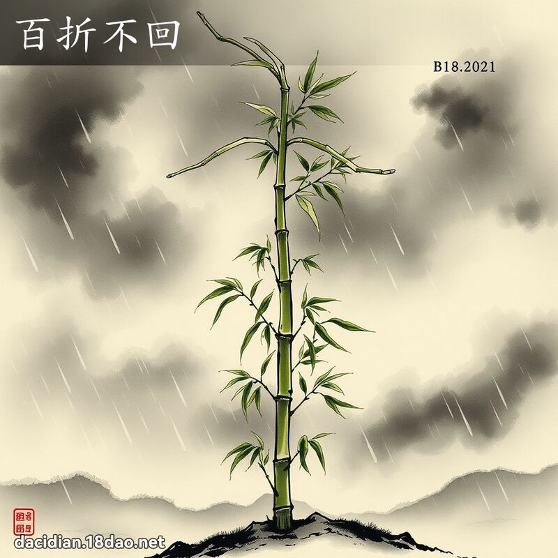 百折不回 配图