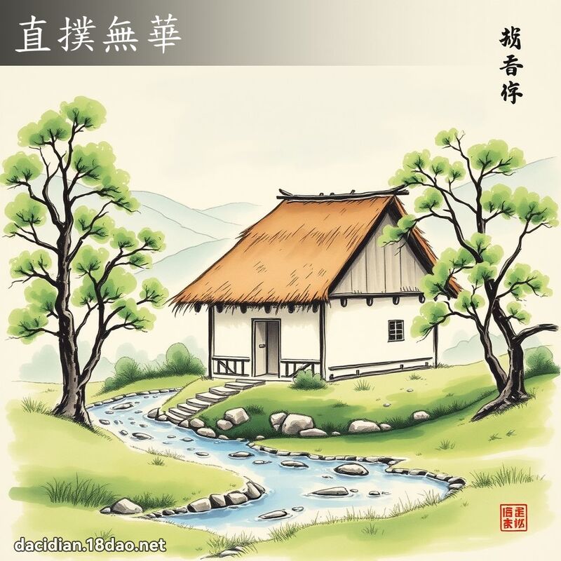 直扑无华 - 中华成语配图
