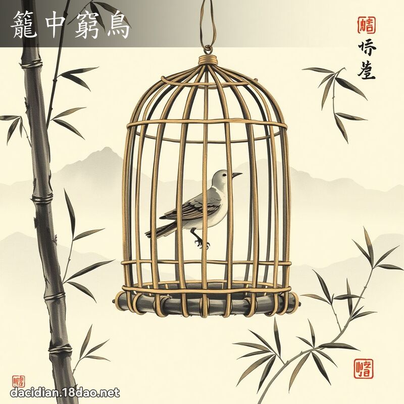 笼中穷鸟 配图