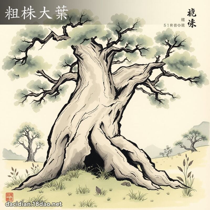 粗株大叶 配图