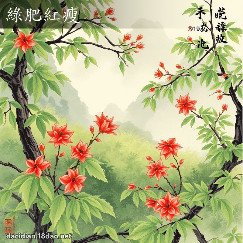 绿肥红瘦 配图