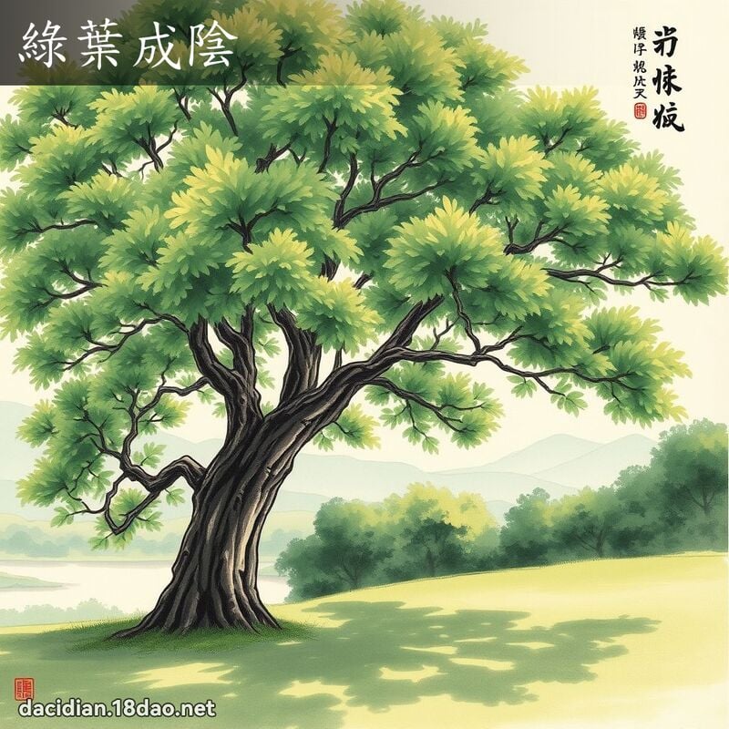 绿叶成阴 配图
