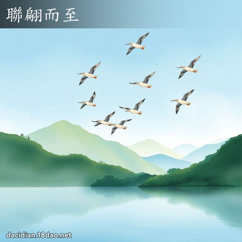 联翩而至 配图