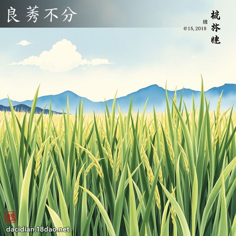 良莠不分 配图