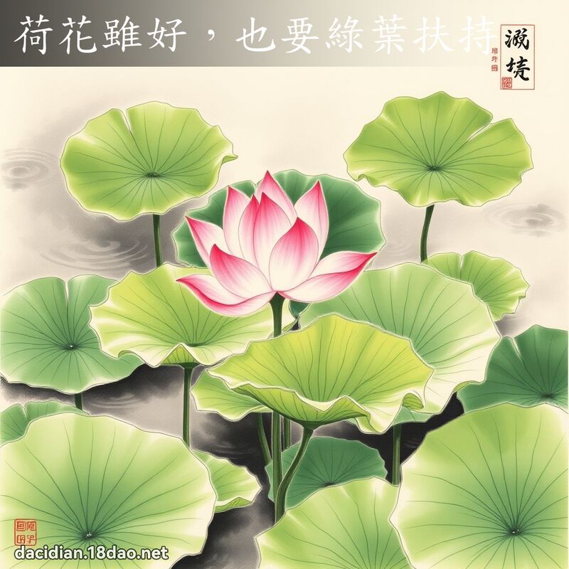 荷花虽好,也要绿叶扶持 配图