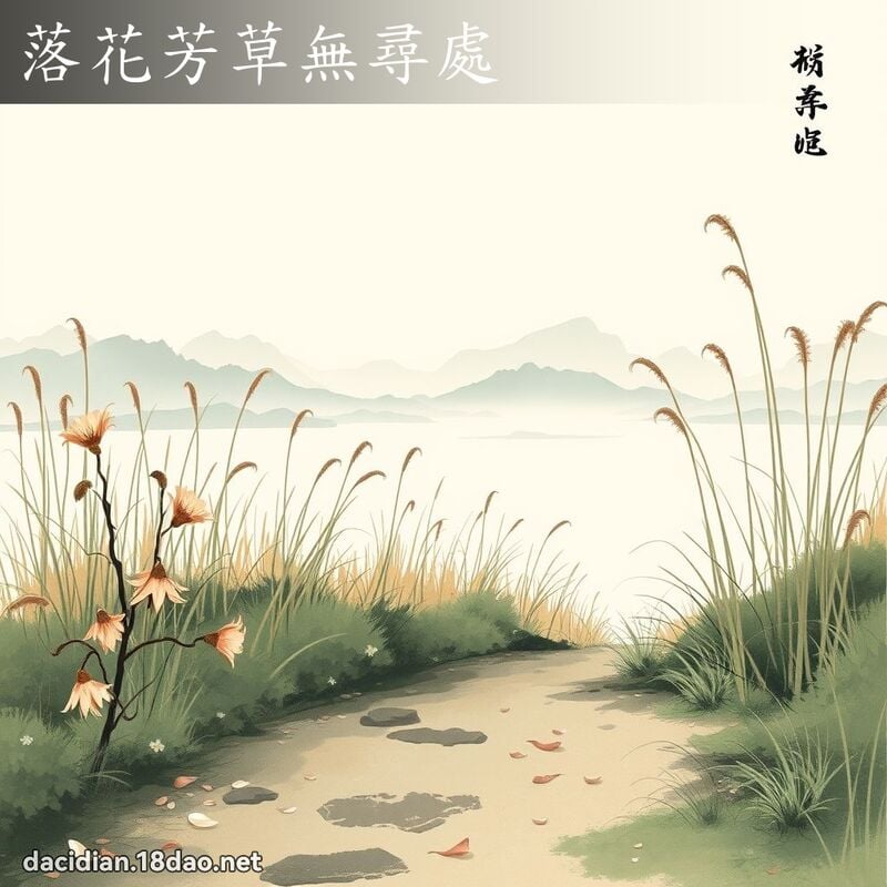 落花芳草無尋處 配图