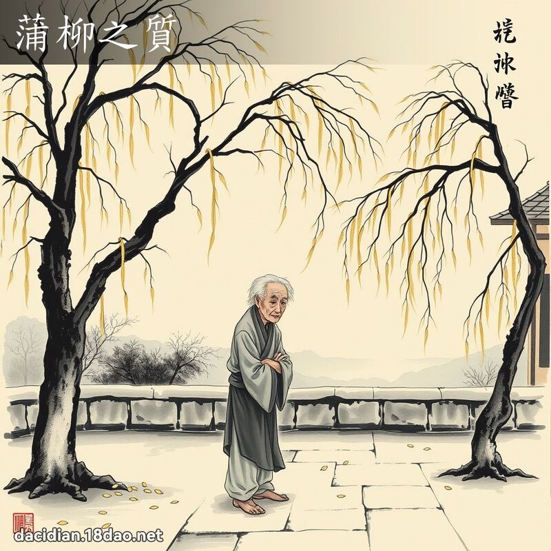 蒲柳之质 配图