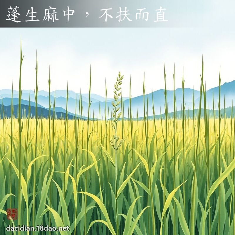 蓬生麻中,不扶而直 配图
