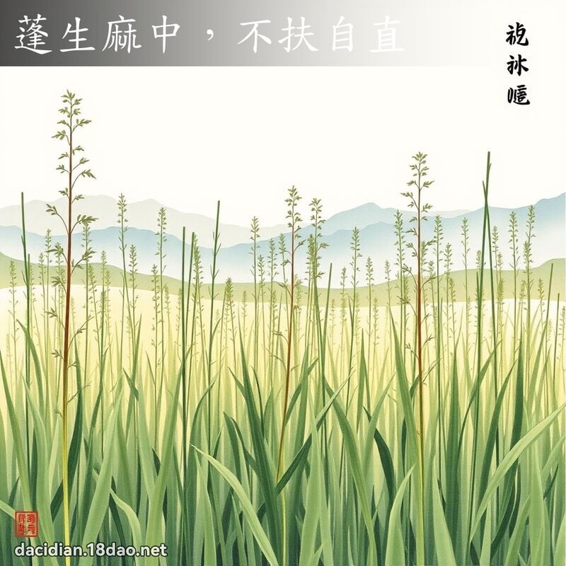 蓬生麻中,不扶自直 配图