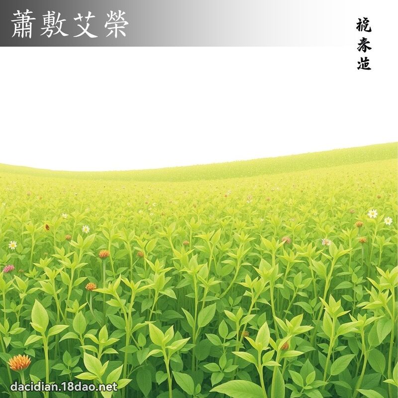 萧敷艾荣 配图