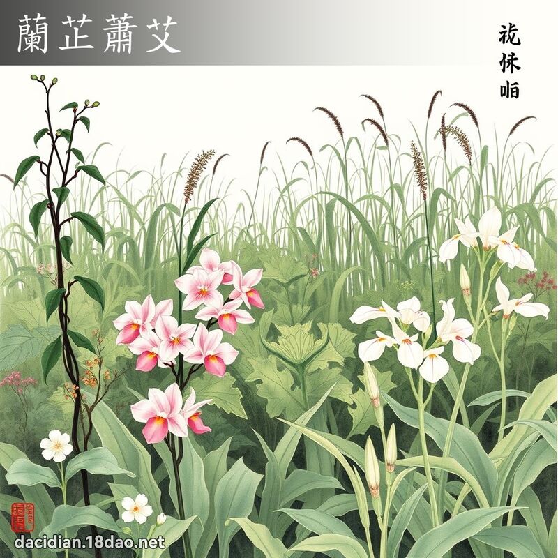 兰芷萧艾 配图