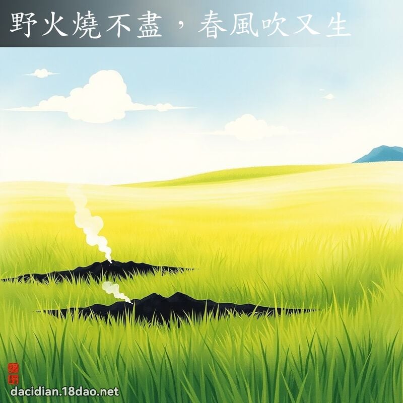 野火燒不盡,春風吹又生 配图