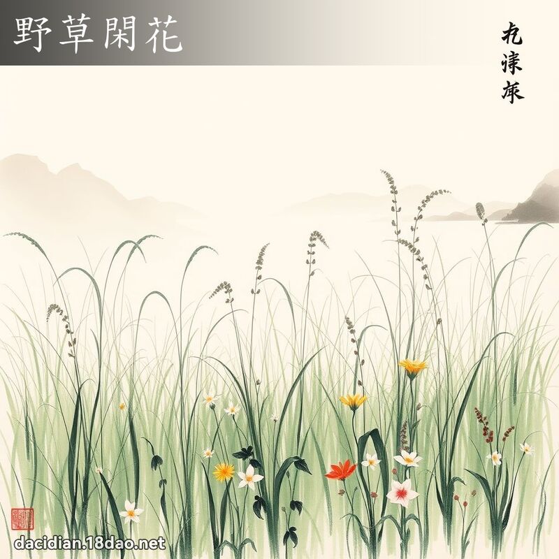 野草閑花 配图