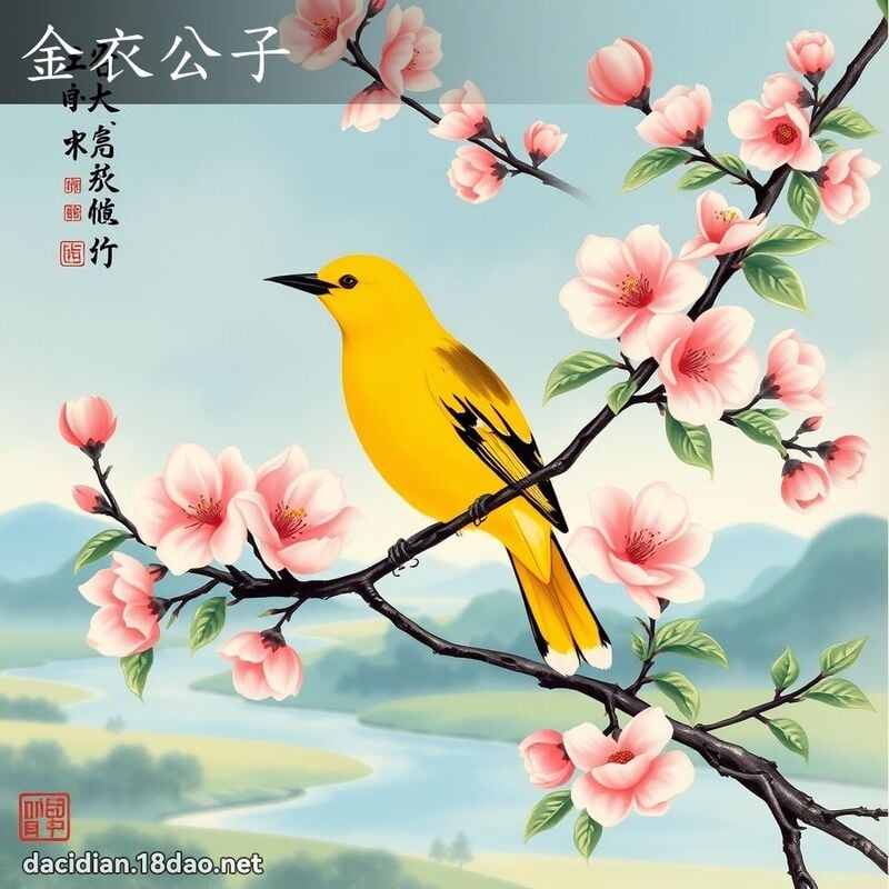 金衣公子 配图