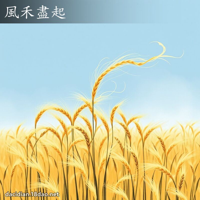 風禾盡起 配图