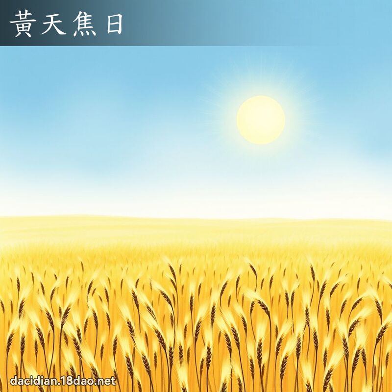 黄天焦日 配图