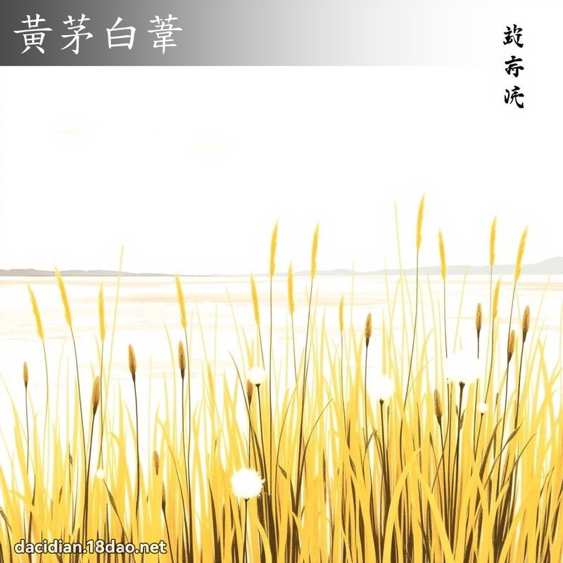 黄茅白苇 配图