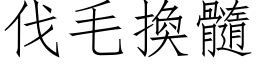 伐毛換髓 (仿宋矢量字库)