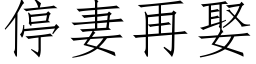 停妻再娶 (仿宋矢量字库)