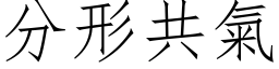 分形共氣 (仿宋矢量字库)