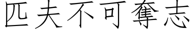 匹夫不可夺志 (仿宋矢量字库)