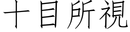 十目所視 (仿宋矢量字库)