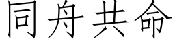 同舟共命 (仿宋矢量字库)