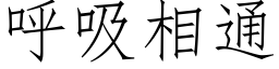 呼吸相通 (仿宋矢量字库)