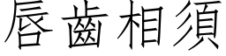 唇齒相須 (仿宋矢量字库)